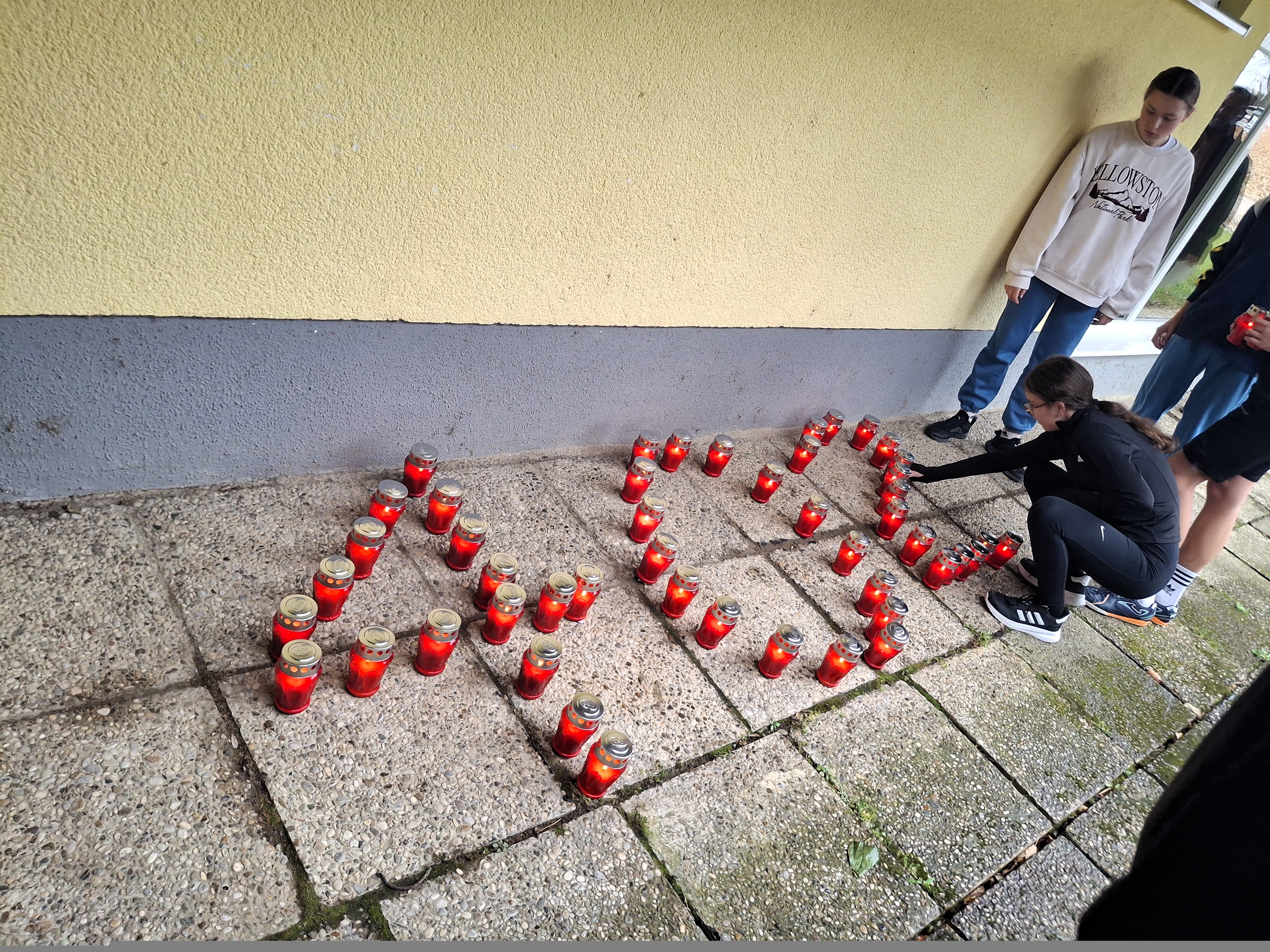 Projekt-Domovinski rat